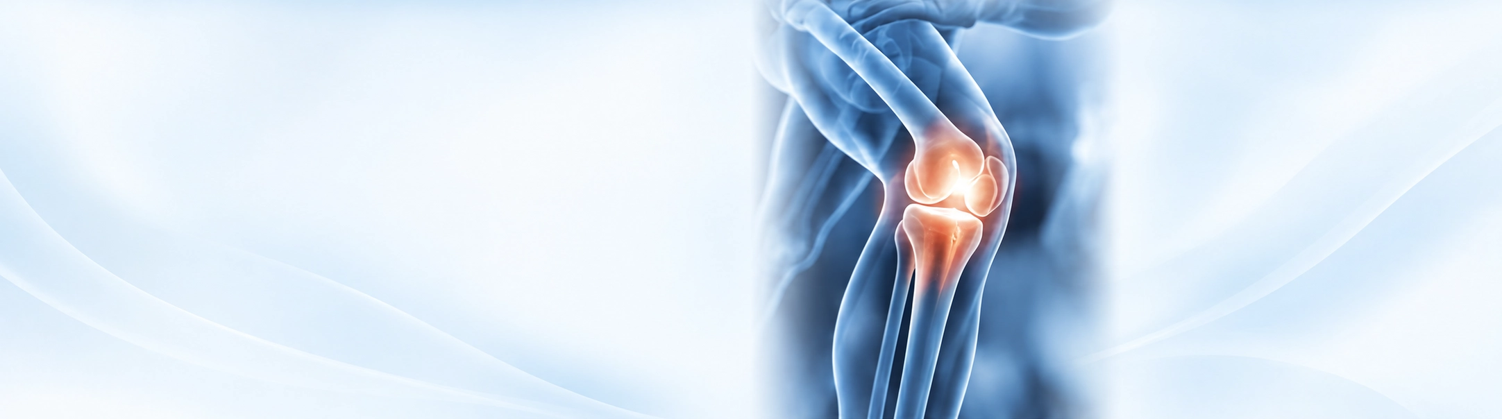 ORTHOPEDIC PROCEDURES BANNER 2 new