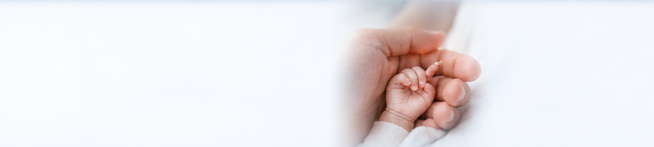 SUBFERTILITY BANNER 2